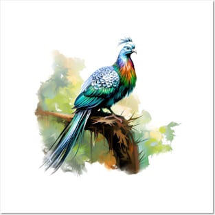 Nicobar Pigeon Posters and Art